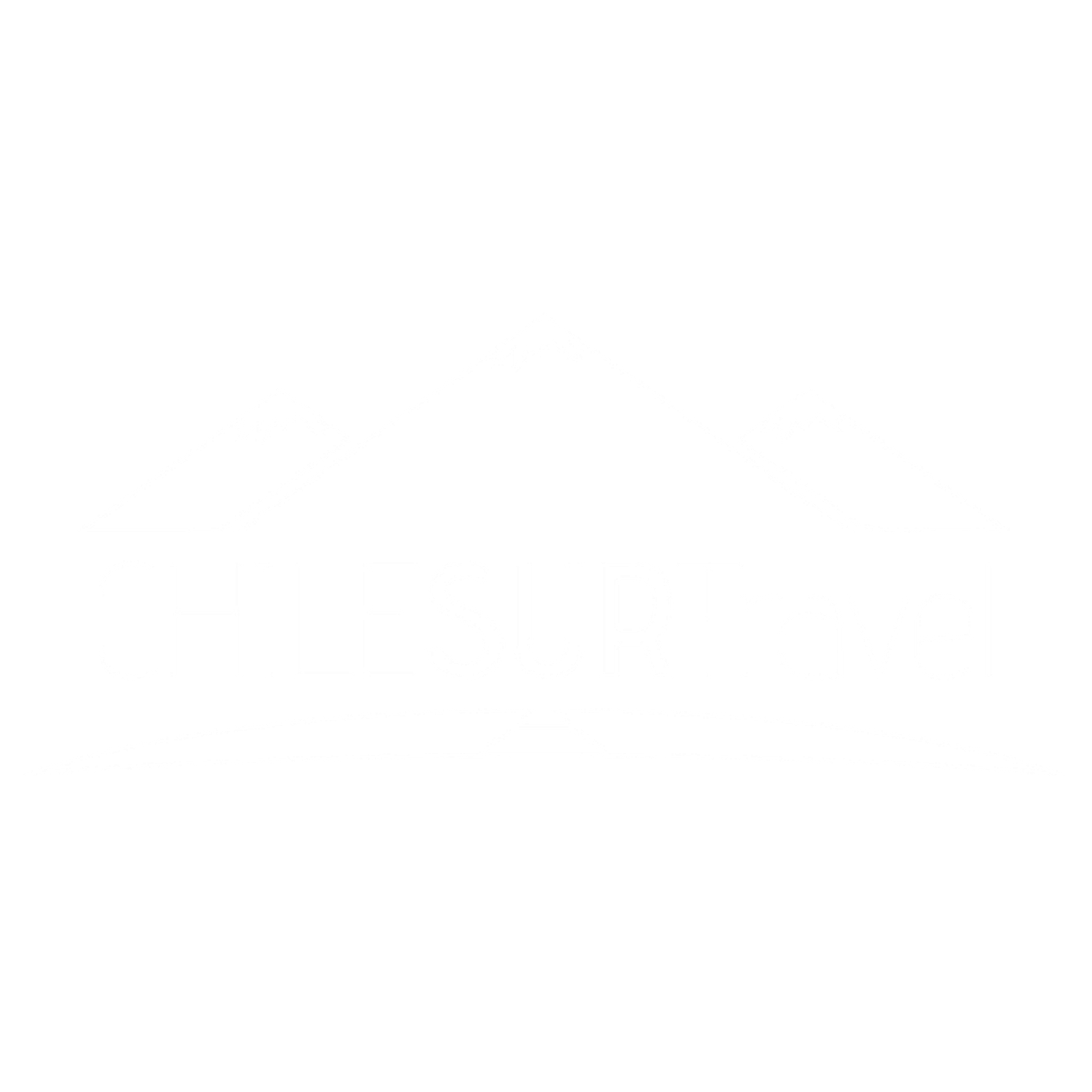 Chile Sur Travel